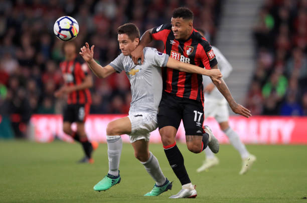 了新鲜血液 了新鲜血液